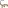 Cordéo