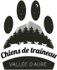 Chien de traineau