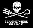 sea sheperd