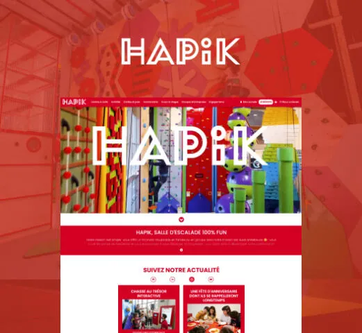 Projet Hapik