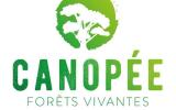 canopee