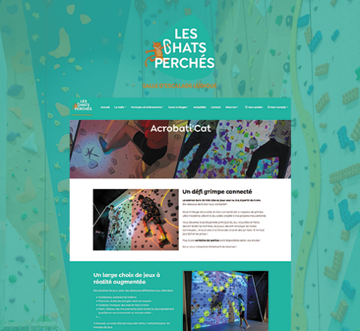 Chats Perchés